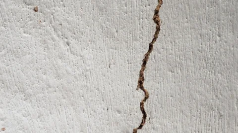 Old Concrete Wall Texture Large Crack Stock Footage Video (100% Royalty-free) 3829290795 | Shutterstock